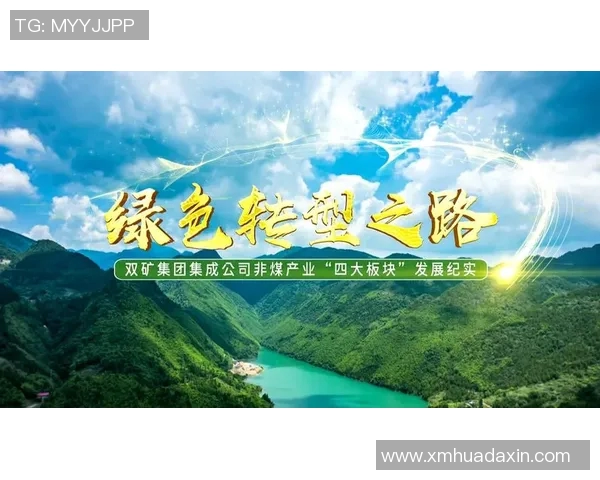 武汉排球队转型之路的纪实探索与发展历程分析