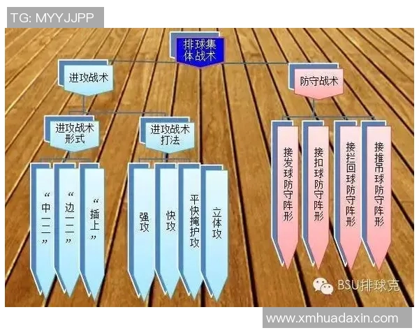 今年运动数据重庆排球队反击战术解析与未来发展展望 今年运动数据重庆排球队反击战术解析与未来发展展望